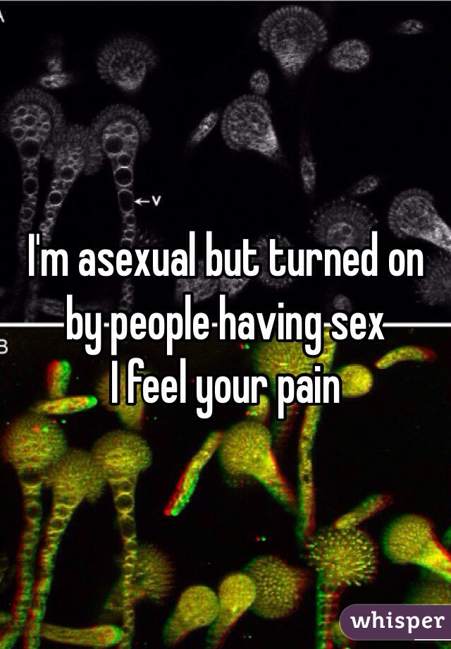 I'm asexual but turned on by people having sex
I feel your pain