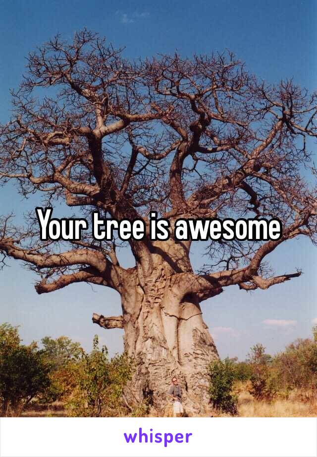 Your tree is awesome 