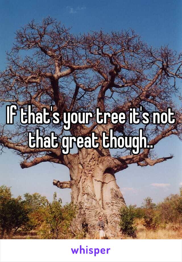 If that's your tree it's not that great though..