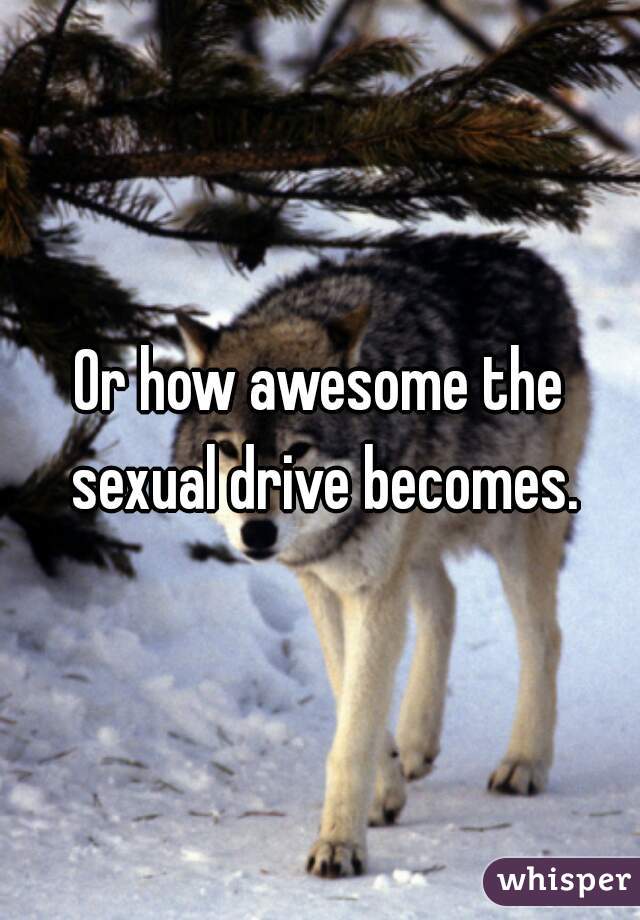 Or how awesome the sexual drive becomes.