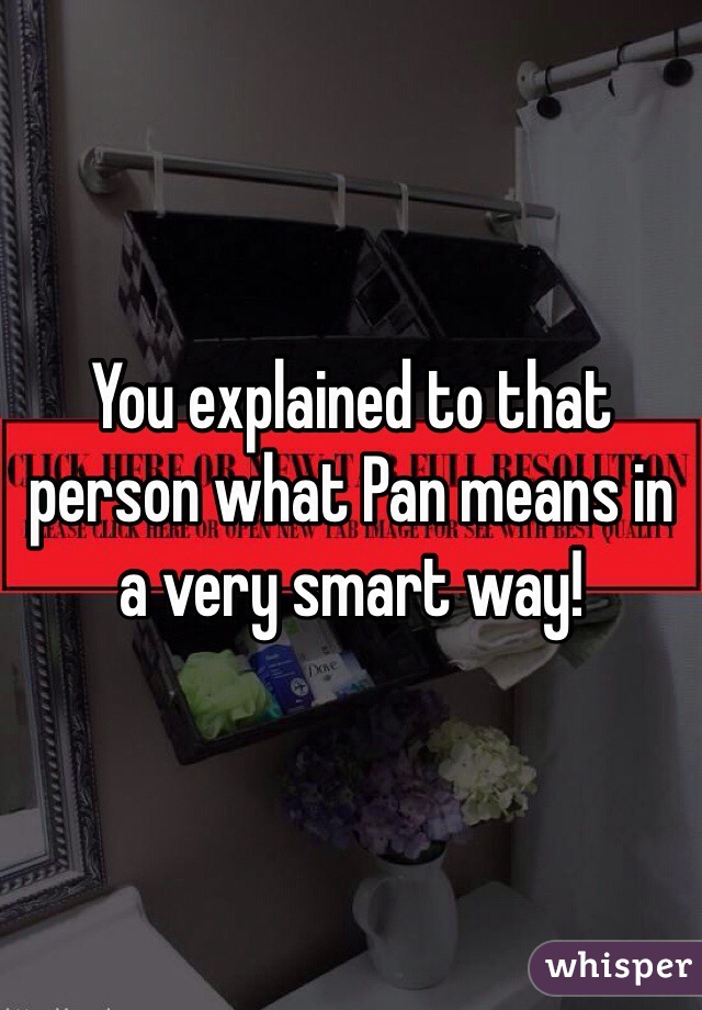 You explained to that person what Pan means in a very smart way!