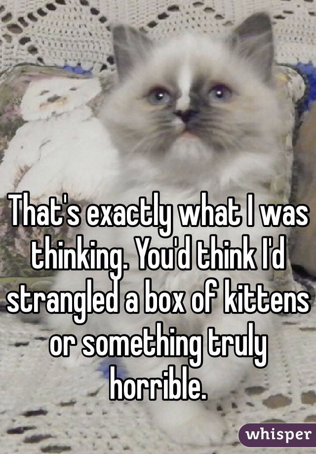 That's exactly what I was thinking. You'd think I'd strangled a box of kittens or something truly horrible. 