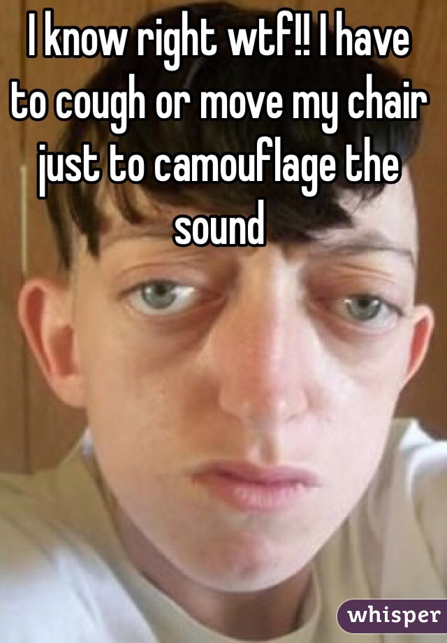I know right wtf!! I have to cough or move my chair just to camouflage the sound