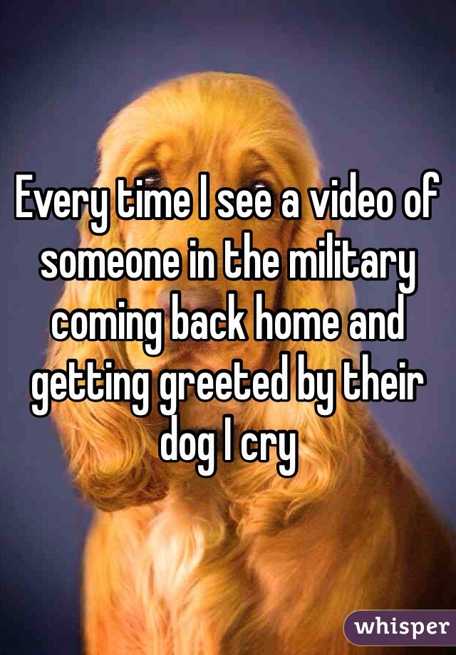 Every time I see a video of someone in the military coming back home and getting greeted by their dog I cry