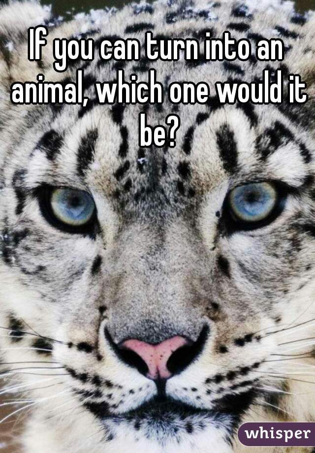If you can turn into an animal, which one would it be?