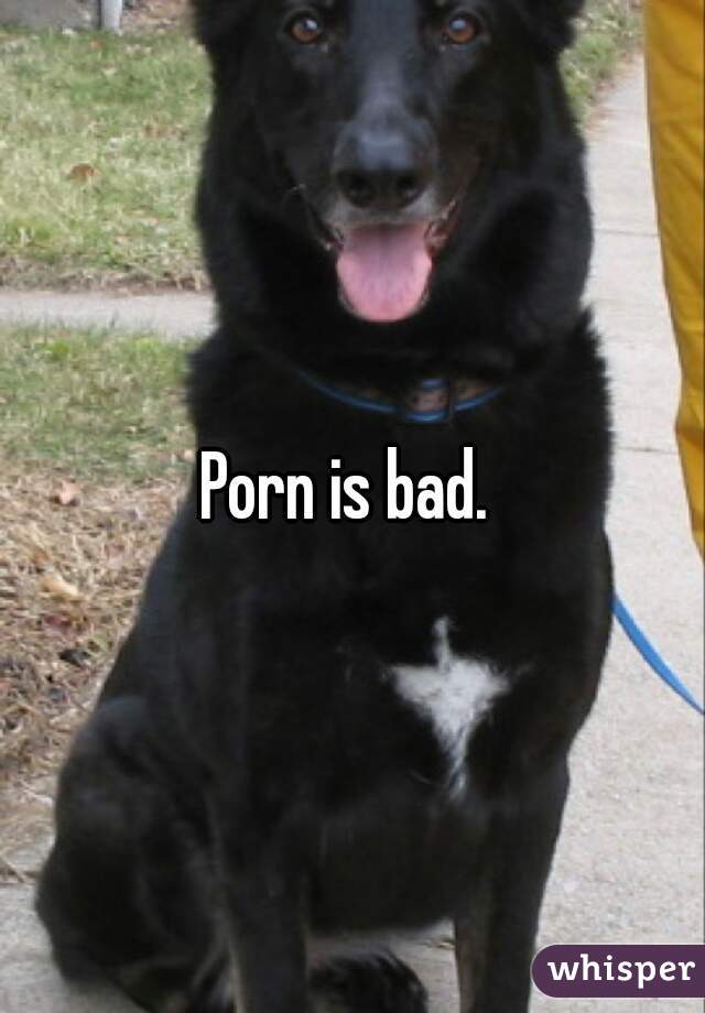 Porn is bad. 