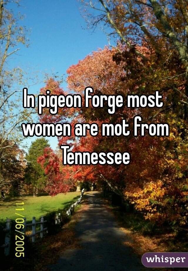 In pigeon forge most women are mot from Tennessee