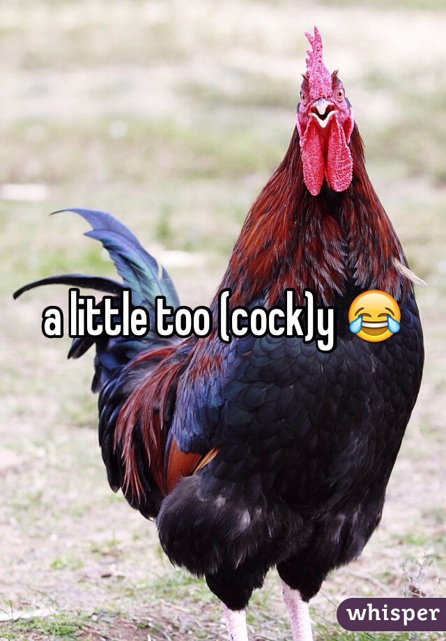 a little too (cock)y 😂