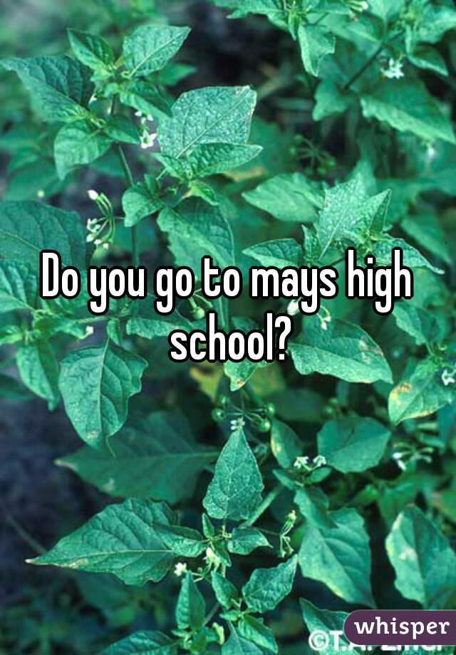 Do you go to mays high school?