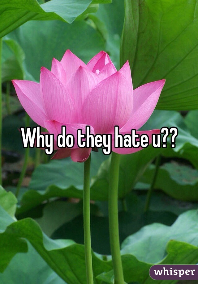 Why do they hate u??