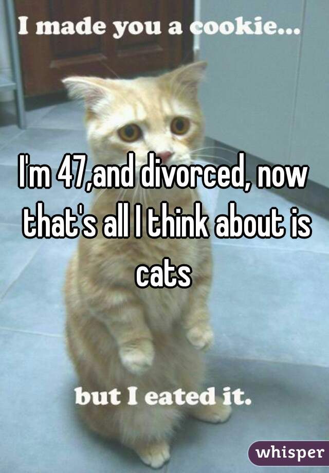 I'm 47,and divorced, now that's all I think about is cats 