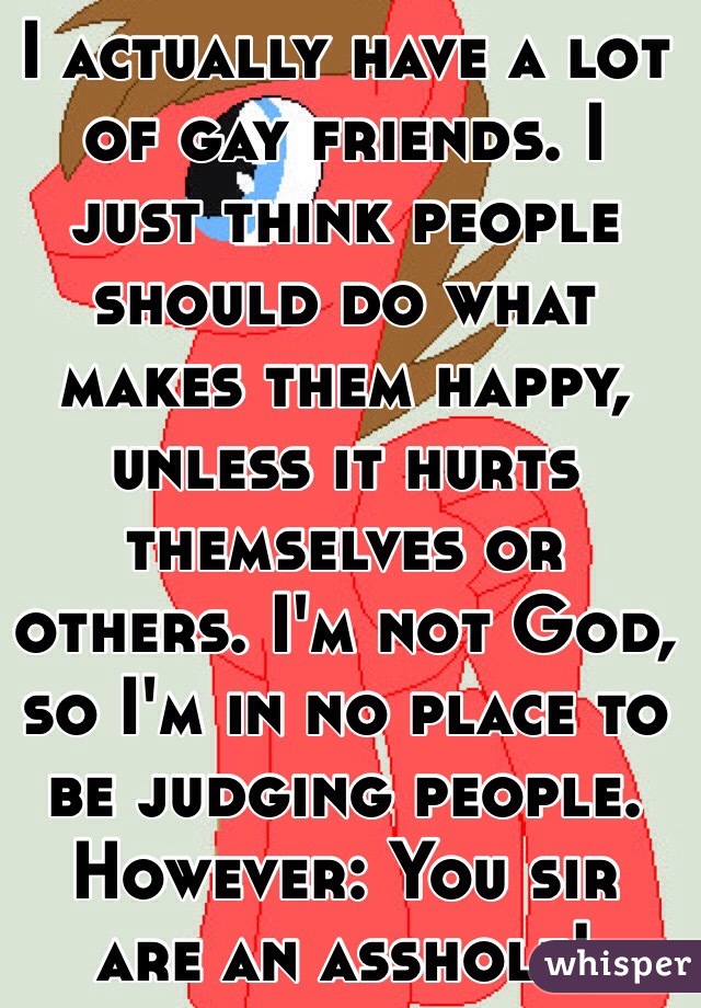 I actually have a lot of gay friends. I just think people should do what makes them happy, unless it hurts themselves or others. I'm not God, so I'm in no place to be judging people. However: You sir are an asshole! 