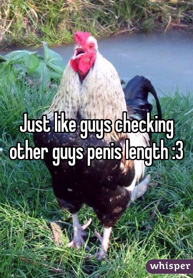 Just like guys checking other guys penis length :3