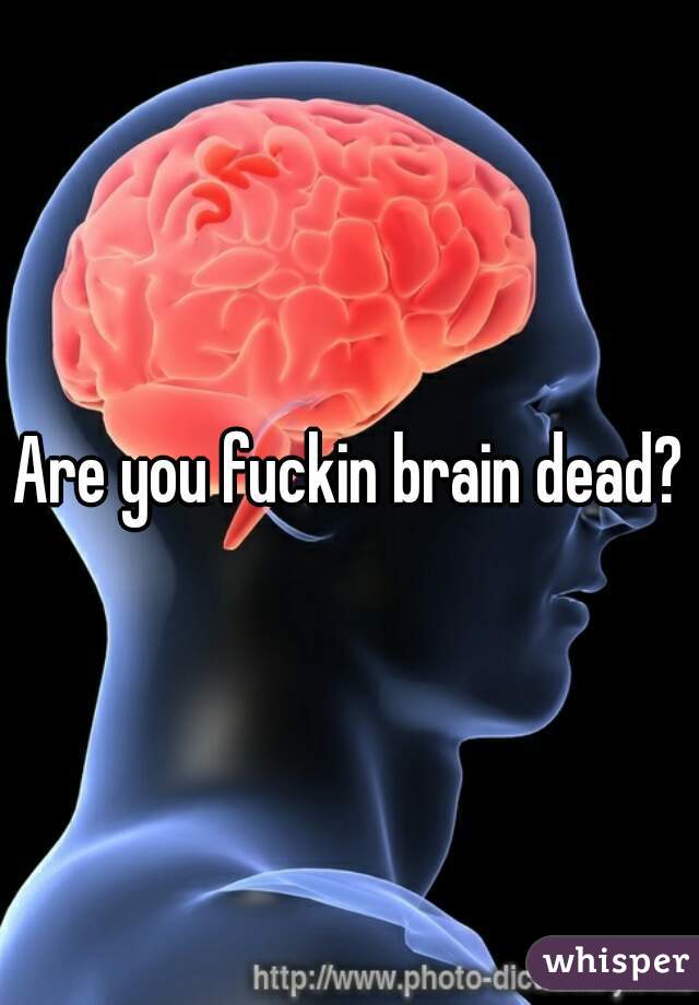 Are you fuckin brain dead?