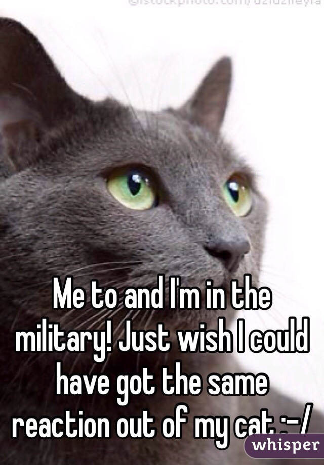 Me to and I'm in the military! Just wish I could have got the same reaction out of my cat :-/