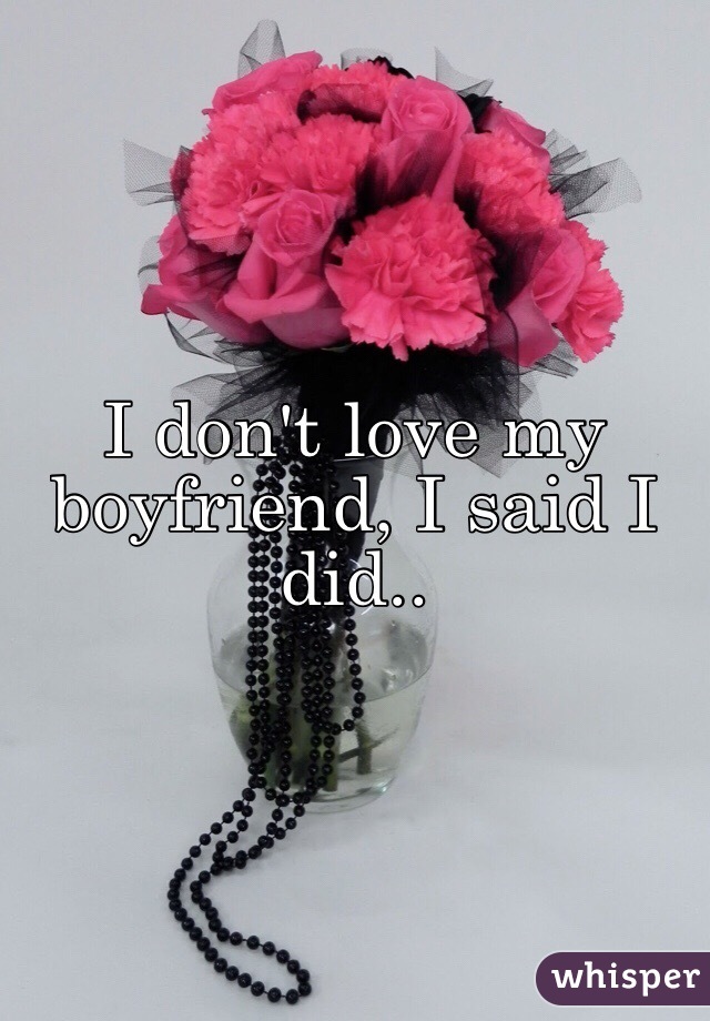 I don't love my boyfriend, I said I did..