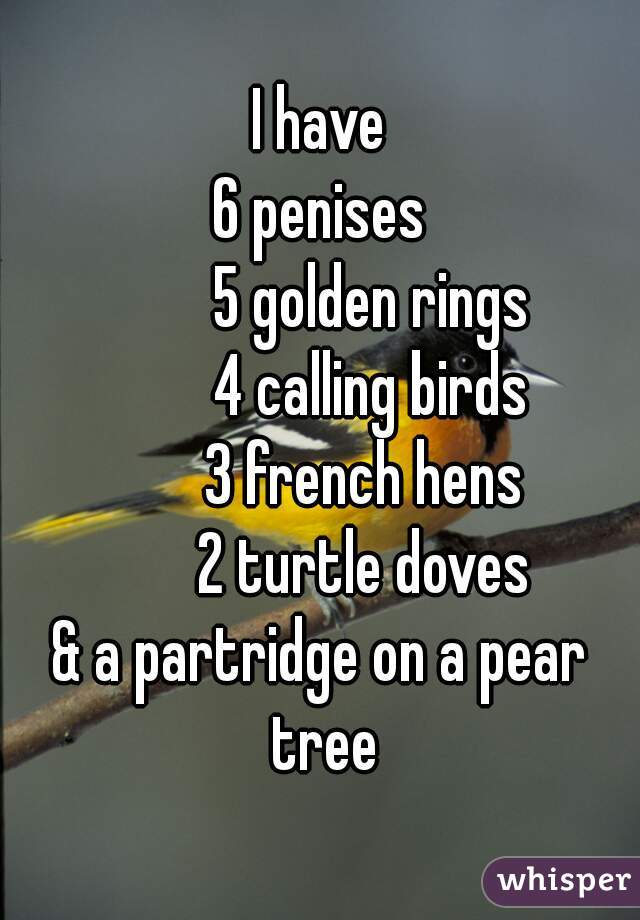 I have
6 penises
        5 golden rings
        4 calling birds
       3 french hens
       2 turtle doves
& a partridge on a pear tree
