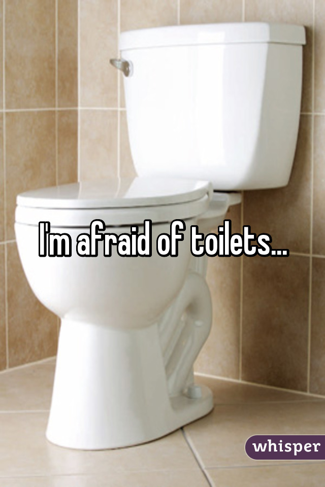 I'm afraid of toilets...