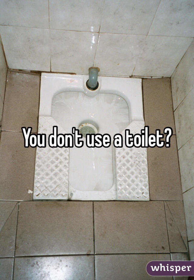 You don't use a toilet? 