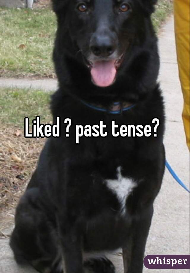 Liked ? past tense? 