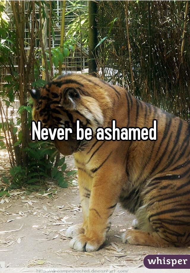 Never be ashamed