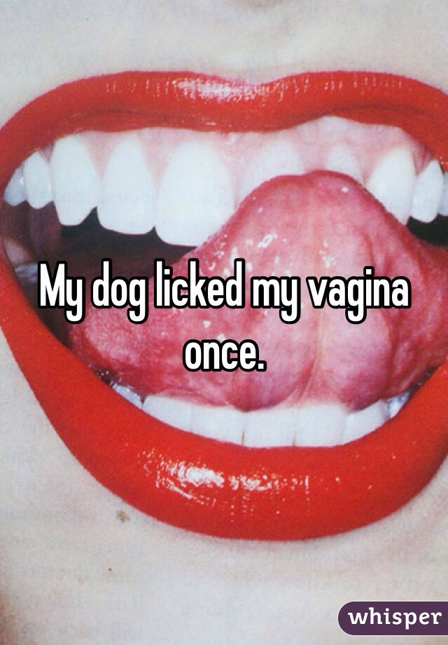 My dog licked my vagina once. 