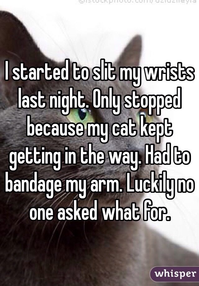 I started to slit my wrists last night. Only stopped because my cat kept getting in the way. Had to bandage my arm. Luckily no one asked what for. 