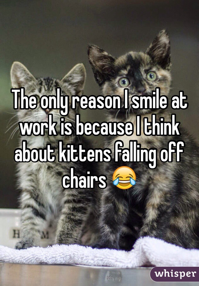 The only reason I smile at work is because I think about kittens falling off chairs 😂