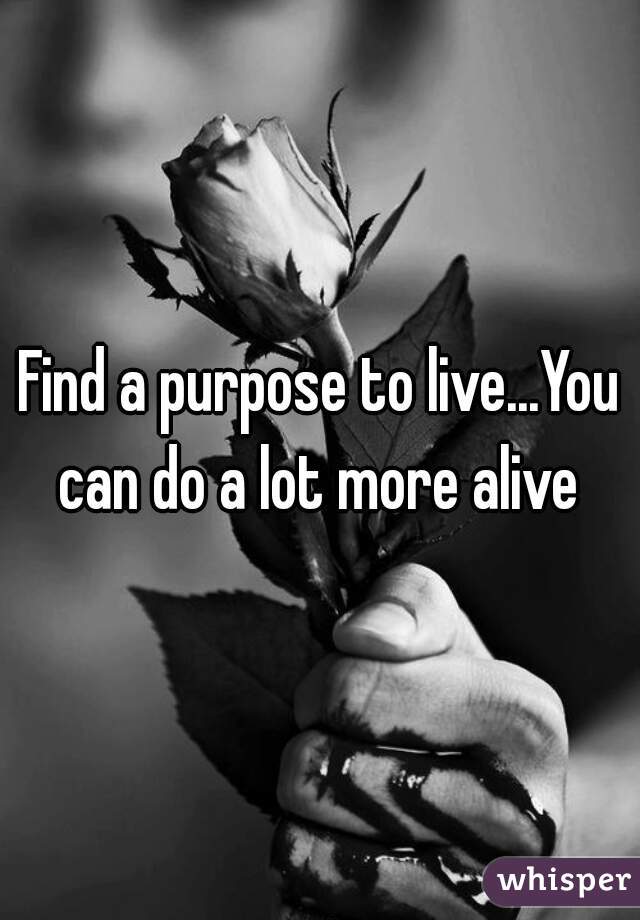 Find a purpose to live...You can do a lot more alive 