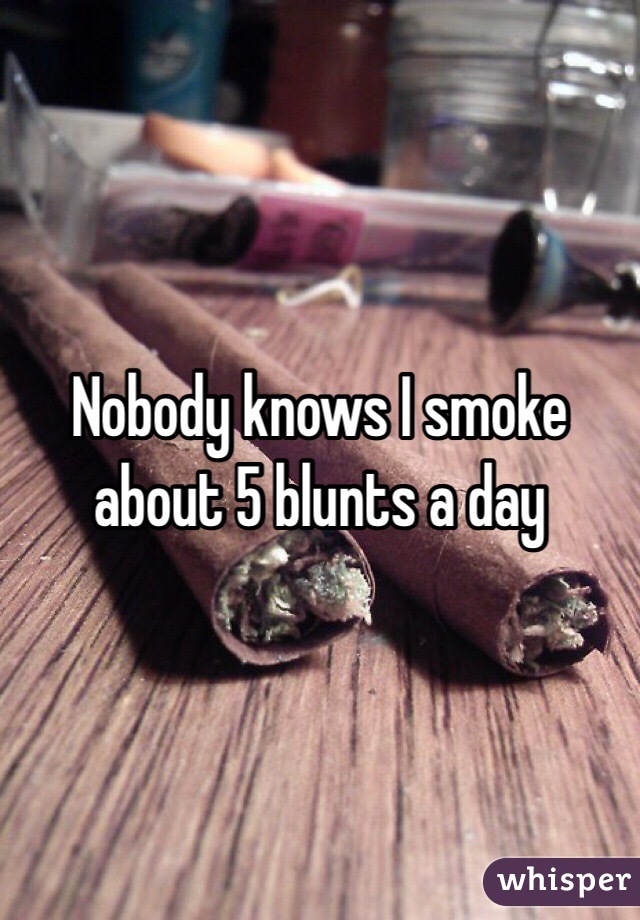 Nobody knows I smoke about 5 blunts a day
