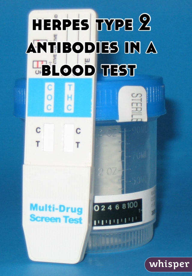 herpes type 2 antibodies in a blood test 