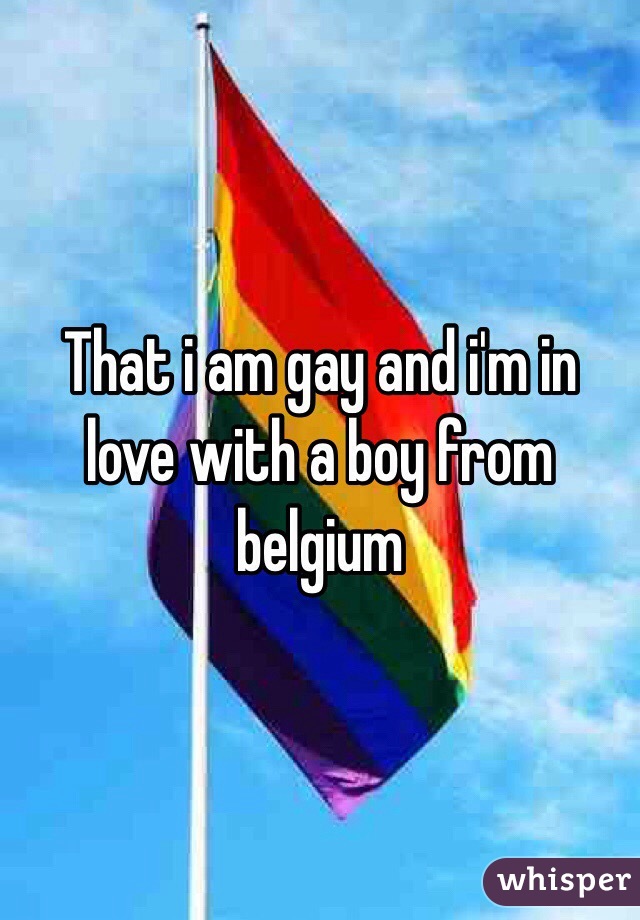 That i am gay and i'm in love with a boy from belgium