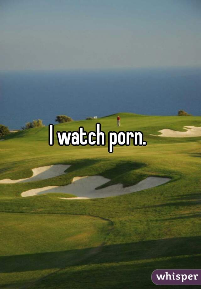 I watch porn. 