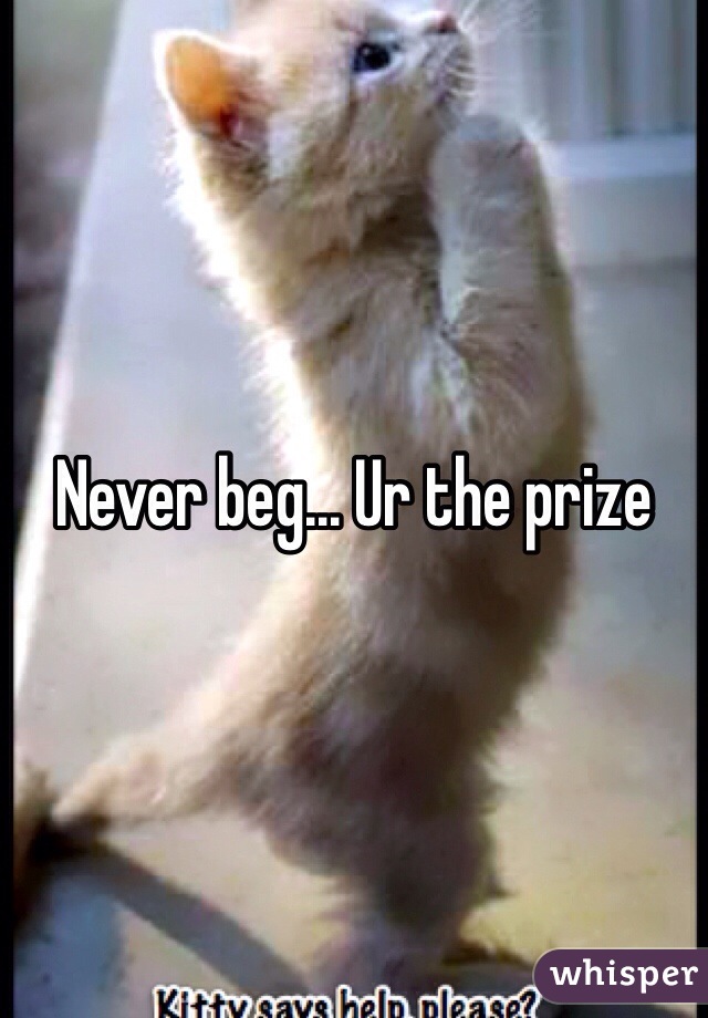 Never beg... Ur the prize 