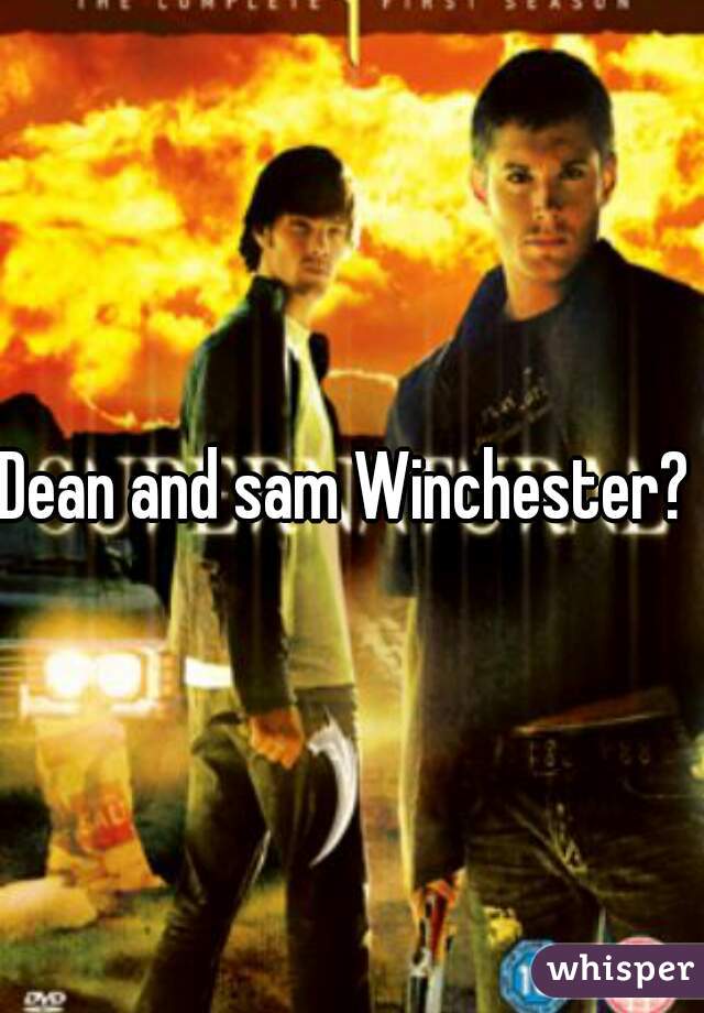 Dean and sam Winchester? 