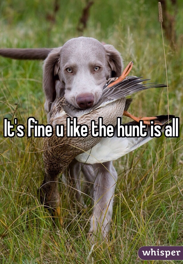 It's fine u like the hunt is all 