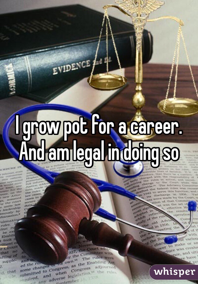 I grow pot for a career. And am legal in doing so