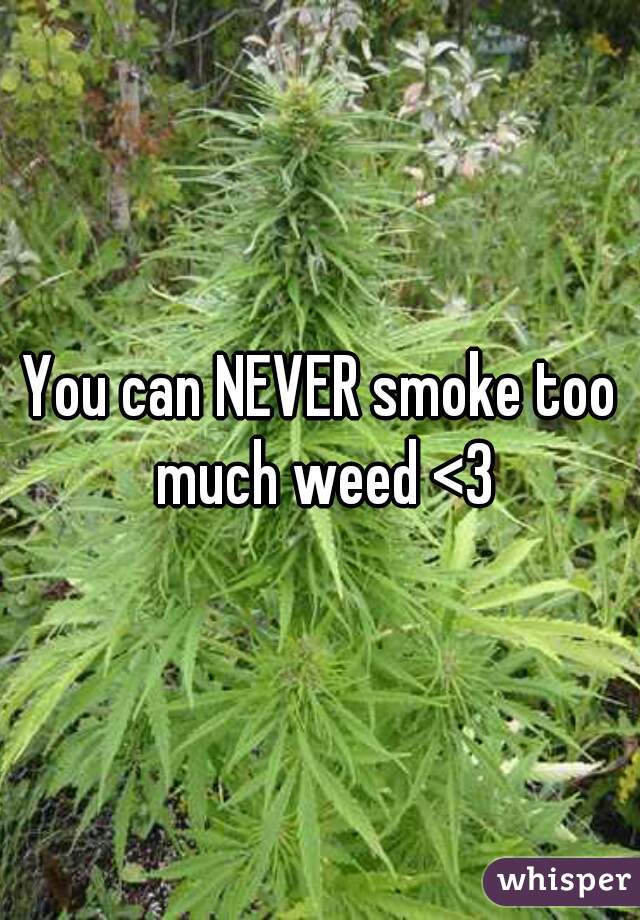 You can NEVER smoke too much weed <3