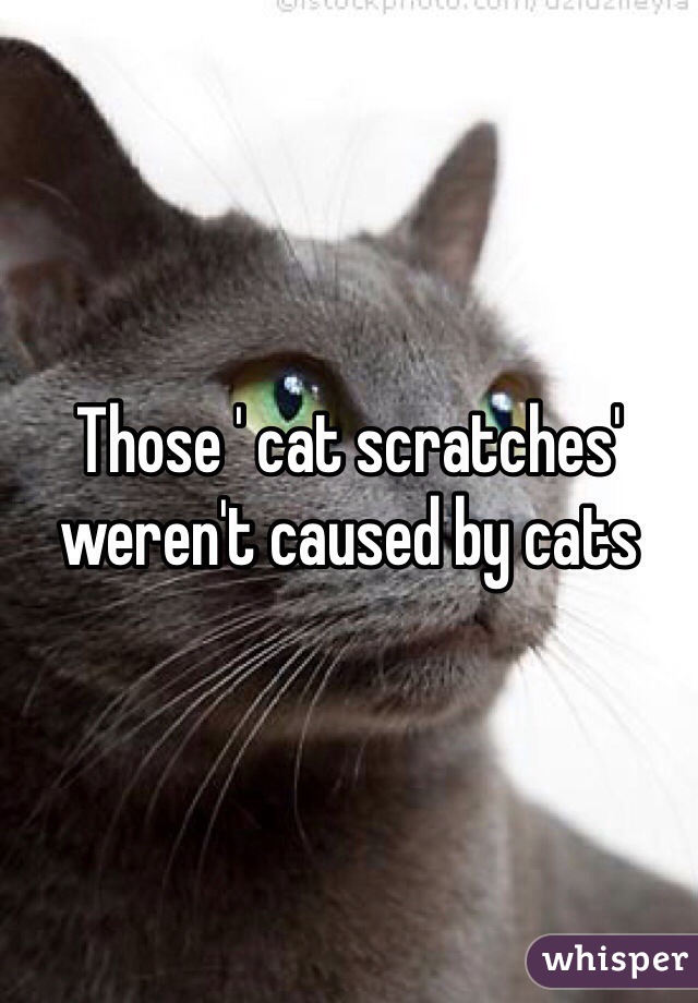 Those ' cat scratches' weren't caused by cats