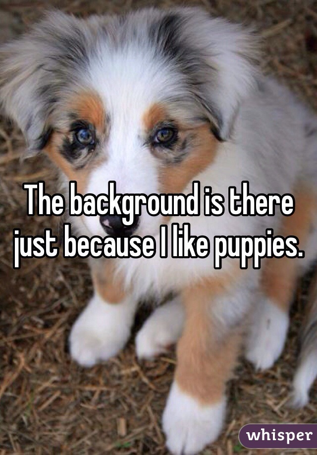 The background is there just because I like puppies. 