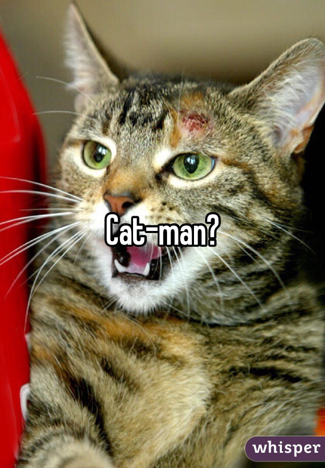 Cat-man?