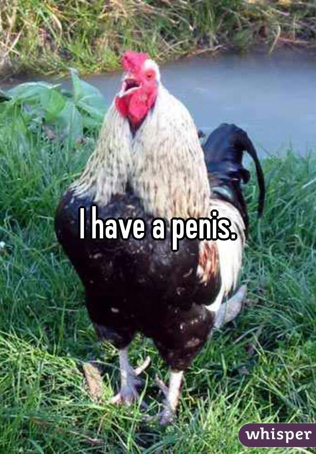 I have a penis. 