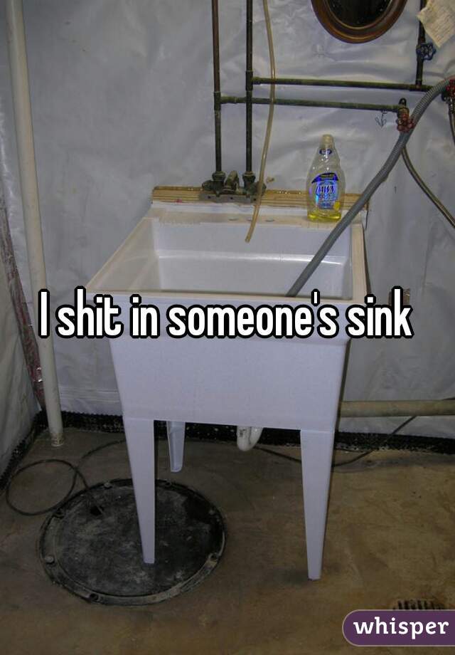 I shit in someone's sink