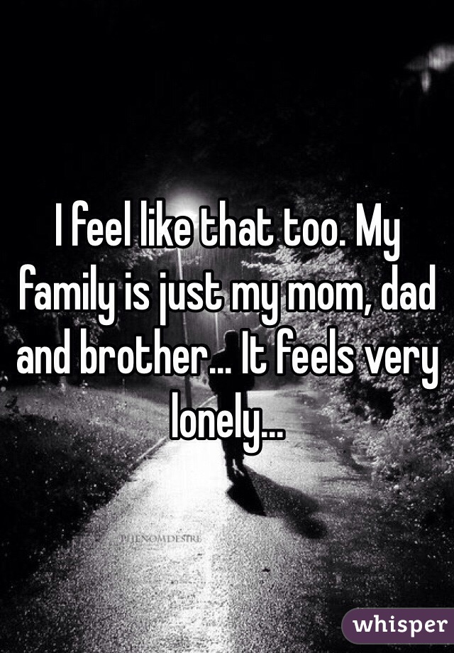 I feel like that too. My family is just my mom, dad and brother... It feels very lonely... 