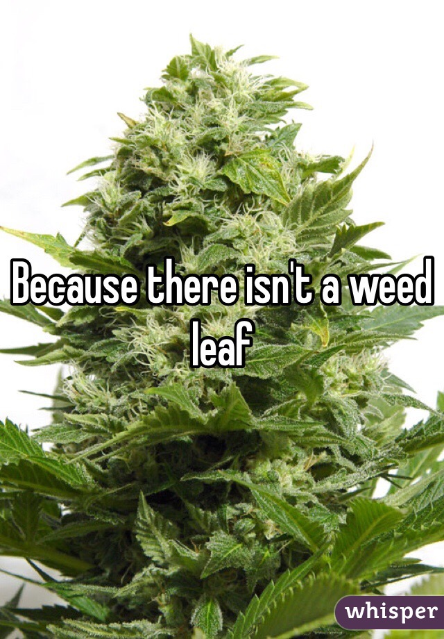 Because there isn't a weed leaf