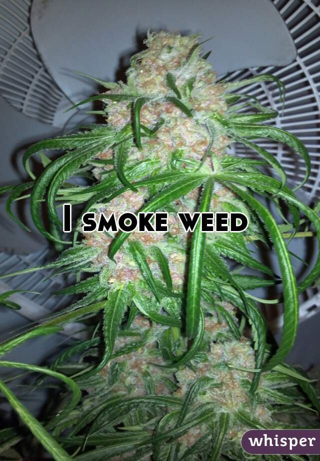 I smoke weed 