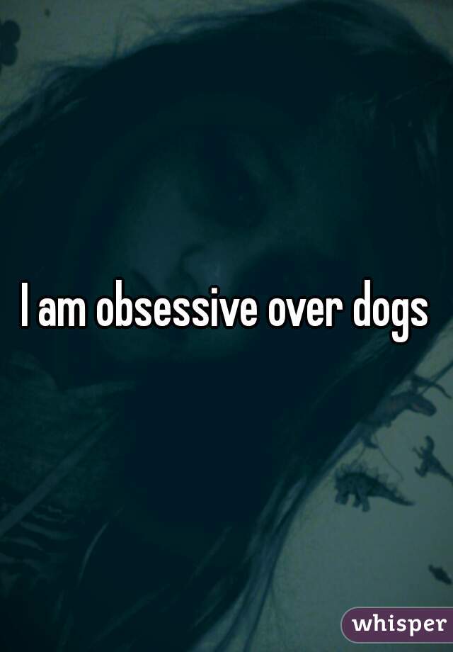 I am obsessive over dogs