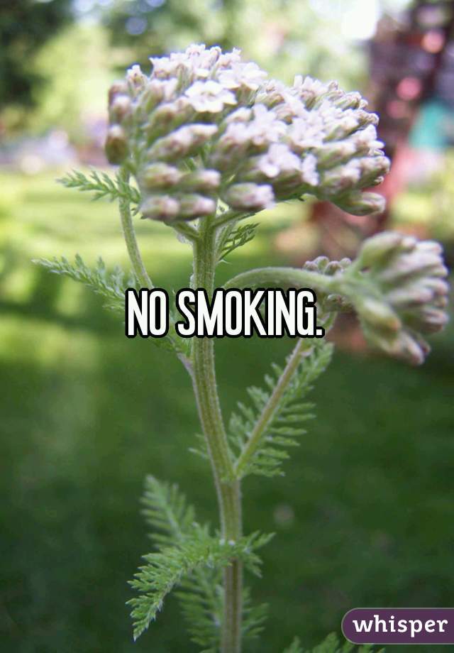 NO SMOKING.