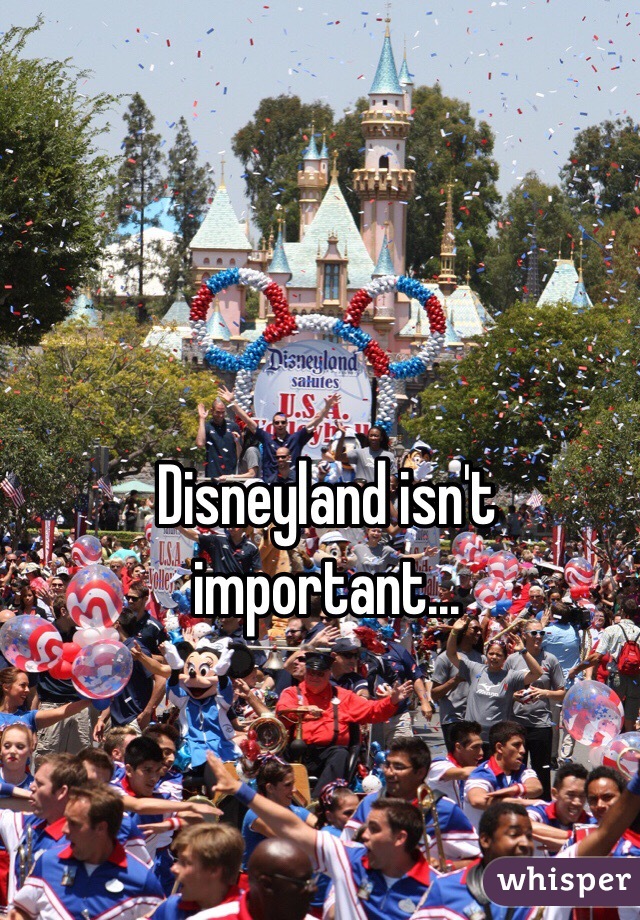 Disneyland isn't important...