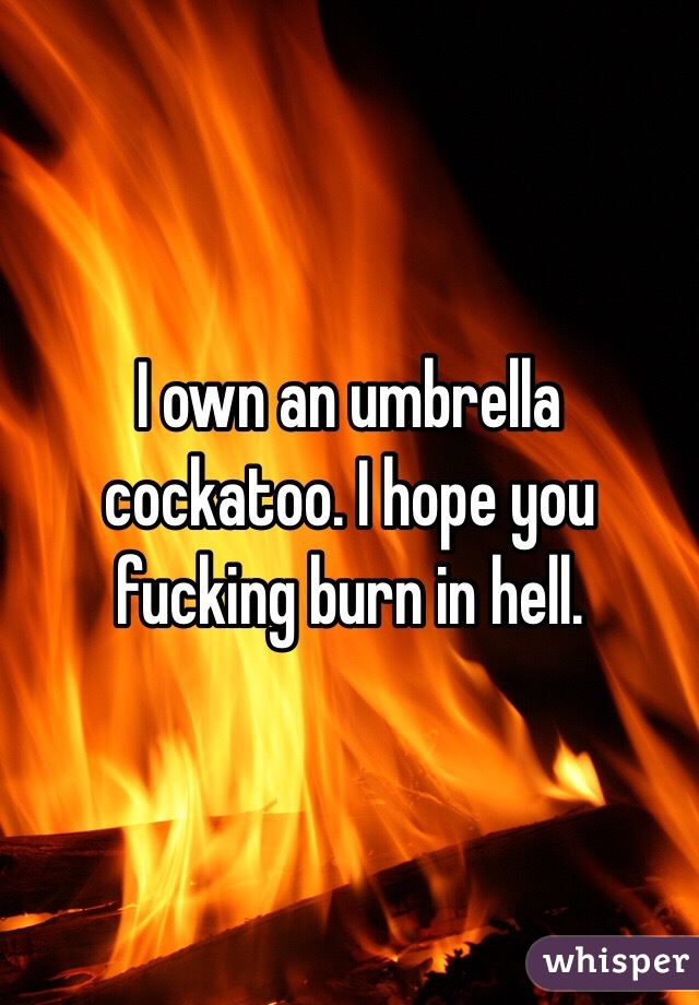 I own an umbrella cockatoo. I hope you fucking burn in hell. 